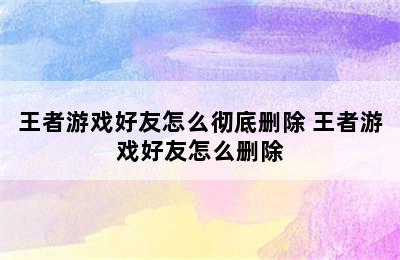 王者游戏好友怎么彻底删除 王者游戏好友怎么删除